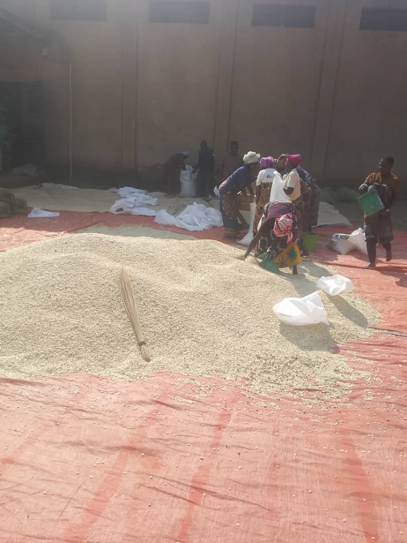 IT Management Services