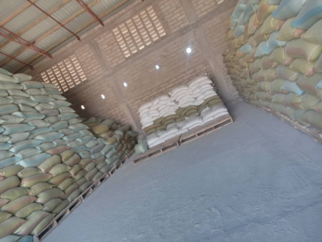 IT Management Services