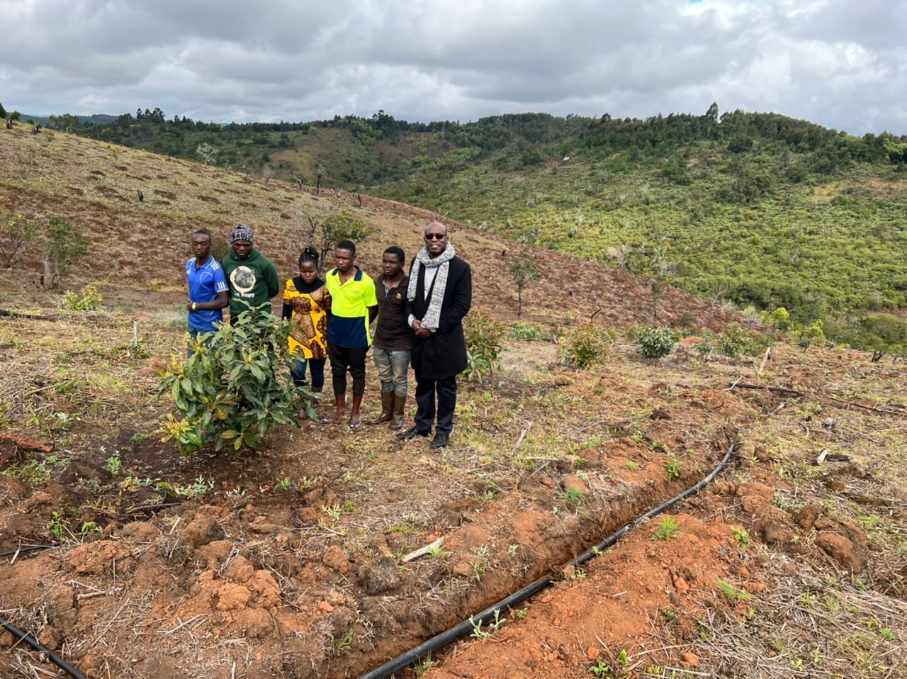 The Inuka team with smallholder farmers at a young avocado plot